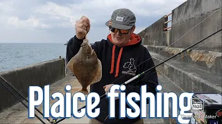 Plaice Fishing Brighton Marina East Wall April 2022