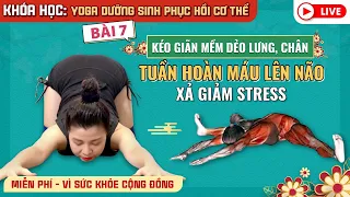 Bài 7: Yoga dưỡng sinh phục hồi cơ thể /Tuần hoàn máu lên não _ Giảm Stress / Nguyễn Hiếu Yoga