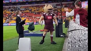 NRL Kane the Canetoad at Suncorp Womens State of Origin 2024