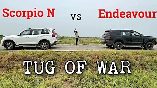 Scorpio N vs Endeavour “Tug of War” Gone Wrong 😑