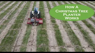 How Does a Christmas Tree Planter Work?