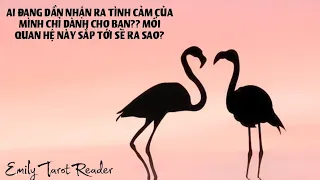 Tarot | AI ĐANG DẦN NHẬN RA TÌNH CẢM CỦA MÌNH CHỈ DÀNH CHO BẠN? MỐI QUAN HỆ NÀY SẮP TỚI SẼ RA SAO?