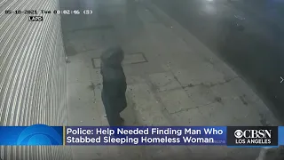 Help Needed To Find Man Who Stabbed Sleeping Homeless Woman In South LA