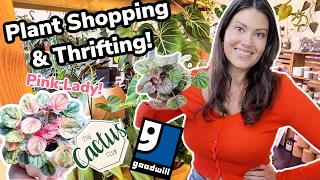 $1.99 Pots! Thrifting, Plant Shopping, & Plant Haul - Goodwill Thrift & Plant Shop With Me