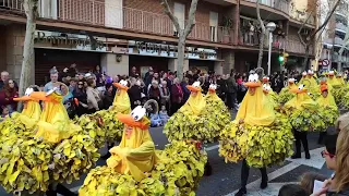 Carnaval de Sabadell 2020 - Falcons tira la canya