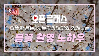 [R Live_오픈클래스] 따뜻한 봄날, 캐논아카데미와 함께하는 '봄꽃 촬영 노하우'