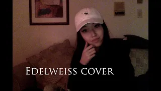 Edelweiss - cover (from "Sound of Music")