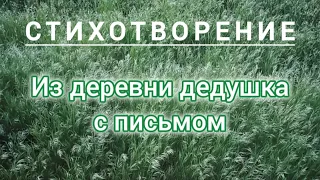 Из деревни дедушка с письмом / Стихотворение