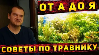 Все СЕКРЕТЫ выращивания АКВАРИУМНЫХ растений от Артема! 2 часть