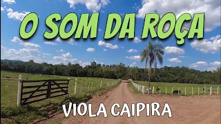 SÓ MODÃO RAIZ  DE VERDADE  - Viola Caipira/Sertanejo Raiz