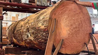 Amazing Factory Wood Sawmill - Perfection Saws The Most Expensive Cherry Wood Countless Special Ways