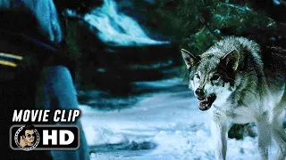 FROZEN | Attacked By Wolves (2010) Movie CLIP HD