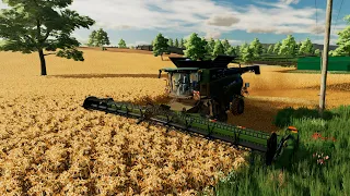 Harvesting Peas Farming Simulator 22 #09