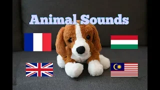 Animal Sounds in Different Languages (Part 1)