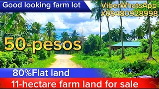 sold Vlog#016/ 11-hectare farm land for sale Tabing kalsada 50-pesos per sqm best for farming 🥰🥰🥰