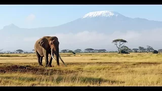 Mt Kilimanjaro avec G-Adventures (2017)