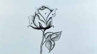 How to draw a rose with water drops//Rose drawing with pencil//Pencil sketch drawing