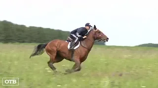 На Урале начали подготовку лошадей к областному Сабантую