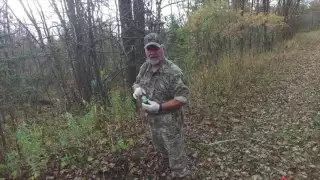 How to make a mock scrape for whitetail deer hunting.