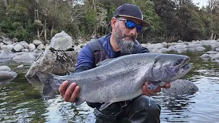 pesca de grandes truchas arcoiris y salmones recorriendo los maravillosos ríos de cochamo