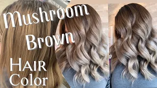 MUSHROOM BROWN HAIR TREND | Formulation For The Perfect Ashy Brown