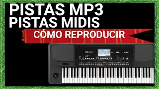 KORG PA300 CÓMO REPRODUCIR PISTAS REGALES PARA CANTAR. MP3 Y MIDIS