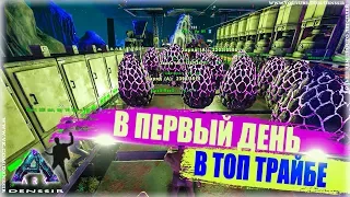 ARK SURVIVAL EVOLVED #1 | В ПЕРВЫЙ ДЕНЬ В ТОП ТРАЙБЕ В АРК | арк сурвайвал эволв