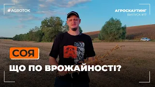 Соя: ЩО ПО ВРОЖАЙНОСТІ❓