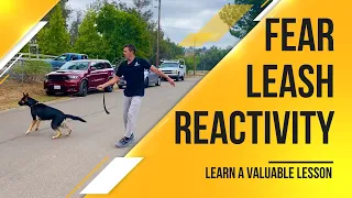 Fear leash reactivity needs to be dealt differently, learn a simple trick to help tremendously.