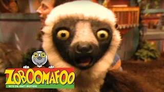 Zoboomafoo 114 - Tracks (Full Episode)