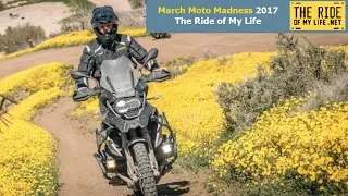 March Moto Madness 2017 - The Ride of My Life