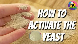 Basic for Beginners | HOW TO ACTIVATE THE YEAST | GraceMin's Kitchen