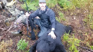 Vancouver Island Spring Bear 2021