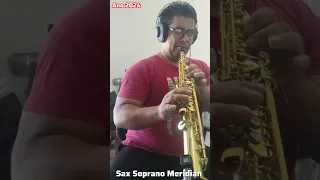 ( à Venda ) Sax Soprano Meridian - Whatsapp (19)997724213 - Vinhedo sp