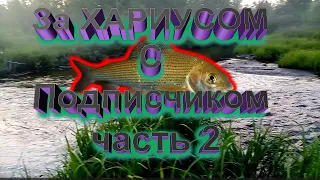 На рыбалку с подписчиком за Хариусом 2-моменты с рыбой