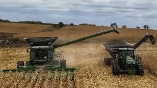 Our Easiest Corn Harvest Ever