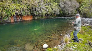 Fly Fishing The Best Trout Stream I’ve Ever seen.