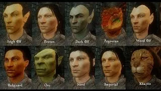 Oblivion Mod Reviews- Oblivion Character Overhaul