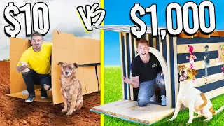 $10 VS $1,000 DOG HOUSE BUILD BATTLE!  *Budget Challenge*