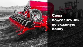 HORSCH Maestro 16 SV + Versatile 2375 ранний сев подсолнечника во влажную почву.