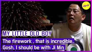 [HOT CLIPS] [MY LITTLE OLD BOY]The firework , that is incredible..I should be with Ji Min(ENGSUB)