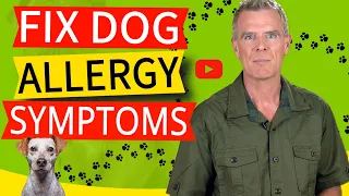 How To Know If Your Dog Is Allergic To His Food (5 Common Allergies, Signs & Remedy)