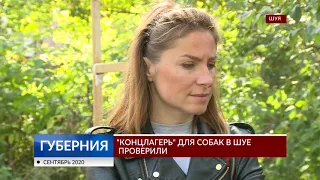 «Концлагерь» для собак в Шуе проверили