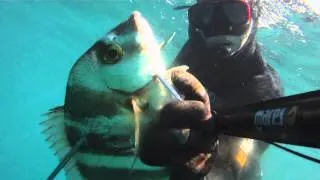 spearfishing israel 3 grouper средиземное море подводная охота דיג בצלילה3  לוקוס חדד