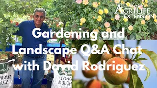 Gardening and Landscape Q&A Chat with David Rodriguez