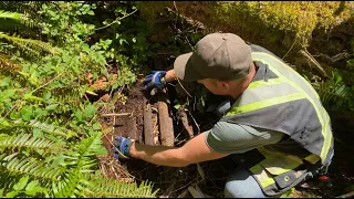 Opening A Gold Mine “The Ghost Town In My Backyard”