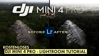 DJI MINI 4 PRO - Kostenloses LIGHTROOMTUTORIAL- von den Kameraeinstellungen bis zum fertigen Foto
