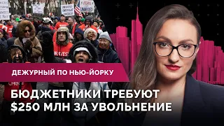 Трамп передумал судиться с Летицией Джеймс, подсолнухи в поддержку беженцев, новое арт-пространство