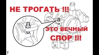 How to adjust the screw the throttle. And not make big problems.