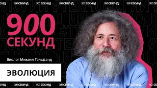 Что такое эволюция? — за 900 секунд